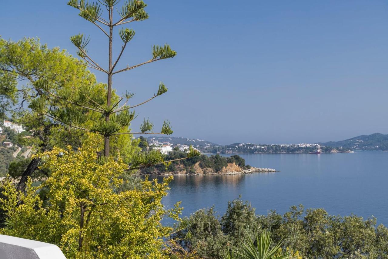 Super Luxury Skiathos Villa Seven Stunning Bedroom Suites Villa Daphne Achliades Achladies  Exterior photo